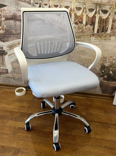 Компьютерное кресло Ergoplus light gray / white — фото 2