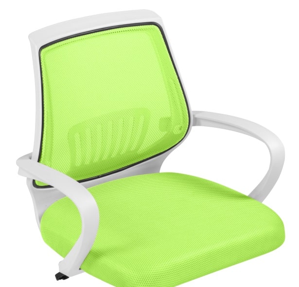 Компьютерное кресло Ergoplus green / white